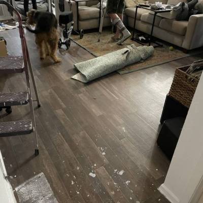 f203_original_copy_1